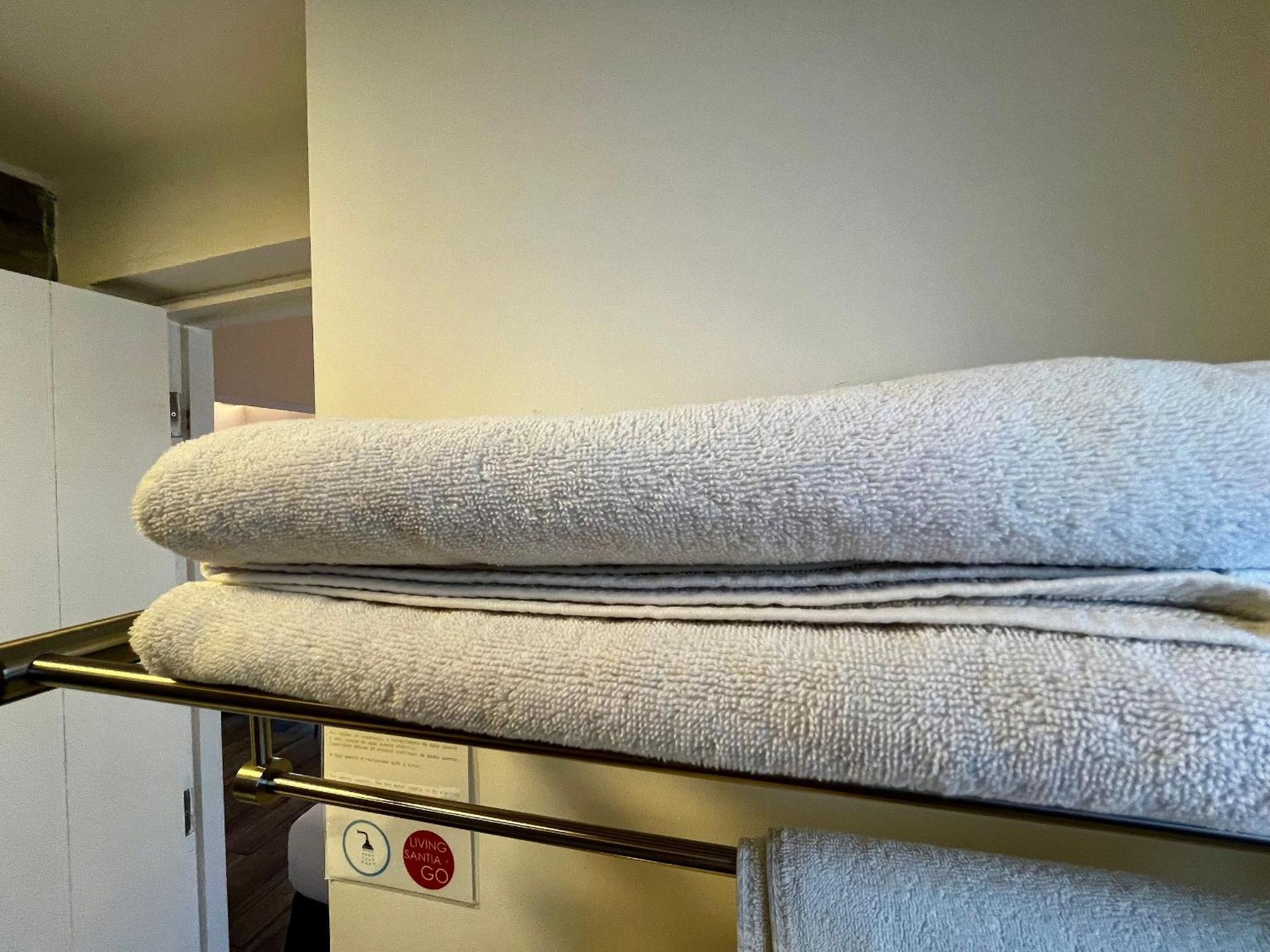 Living Vaisse Apartamento